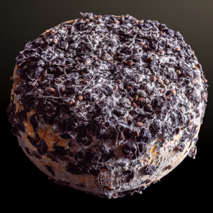 Pecorino alle vinacce - immagine 2
